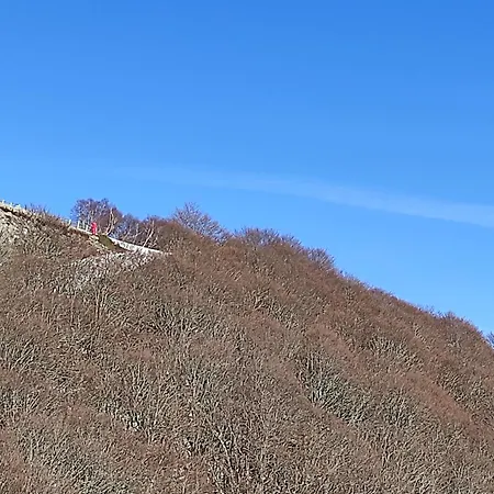 Apartment 4 Pers Au Pied Des Pistes Avec Garage - Fr-1-814-127 *